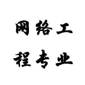 網絡工程 構建數字世界的基石